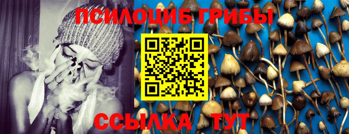 Галлюциногенные грибы Magic Shrooms Россошь